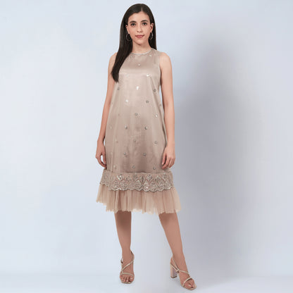 Beige Sequin Embroidered A-Line Net Dress