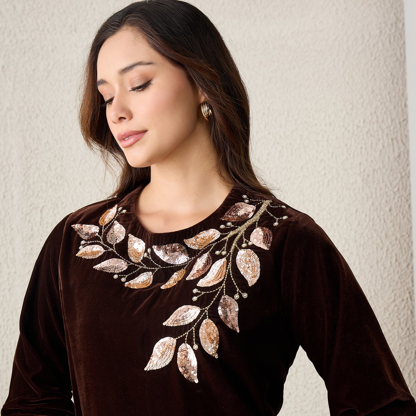 Brown Golden Vine Hand Embroidered Velvet Top
